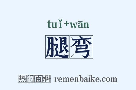 腿弯是什么意思的图片